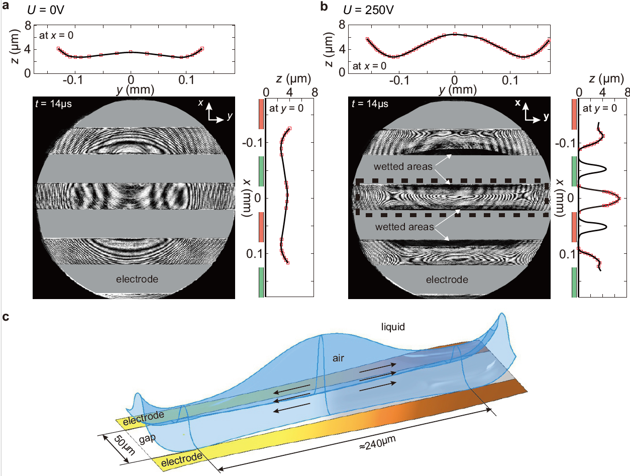 Electrohydrodynamic Control of Interfacial Films for Advanced Thermal and Fluidic Applications